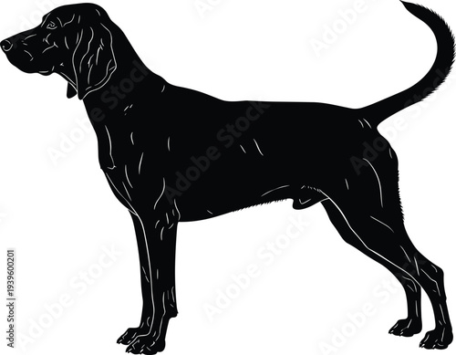 Black dog silhouette vector illustration, standing hound breed icon, detailed canine shape isolated on white background for logo design