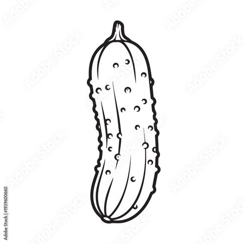 Single Dill Pickle Outline Vector Illustration Isolated on White Background