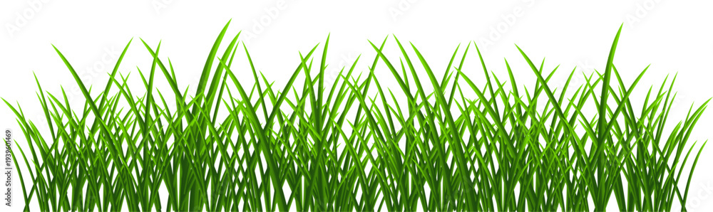 Fototapeta premium Green grass border isolated on transparent background. 