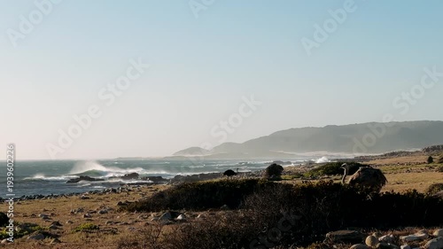 Cape of Good Hope in South Africa