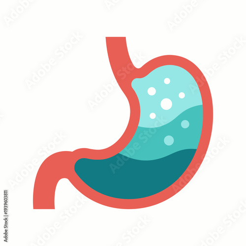 A colorful and educational illustration of a stomach, showcasing the digestive process with vibrant colors, emphasizing health, biology, and the importance of nutrition in a modern style.