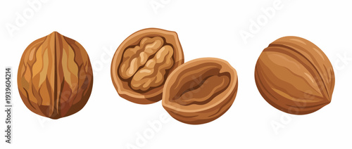 This image features a variety of walnuts, showcasing both whole and shelled options, emphasizing their rich textures, colors, and healthy attributes, ideal for food products.