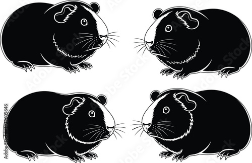 Cute guinea pig silhouette set, black pet rodent vector illustration isolated on white background for nursery and animal design