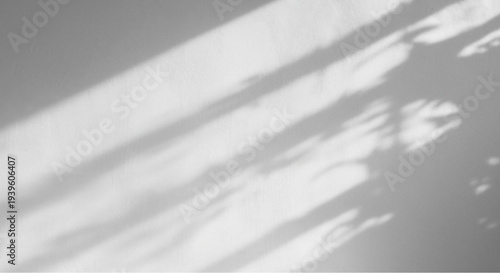 Soft gray background with natural light shadows