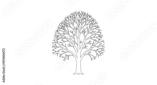 Detailed Illustration of a Tree with Full Branches and Foliage.
