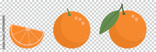 Whole Oranges and Citrus Slice on Transparent Background Minimalist Style
