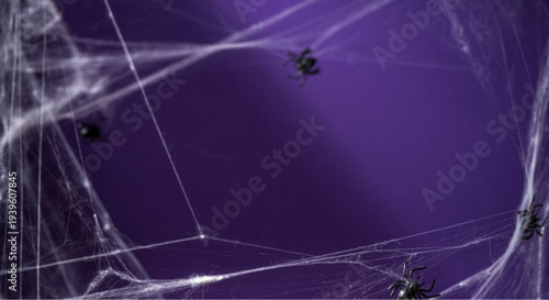 Spooky purple background with spiders and cobwebs for Halloween