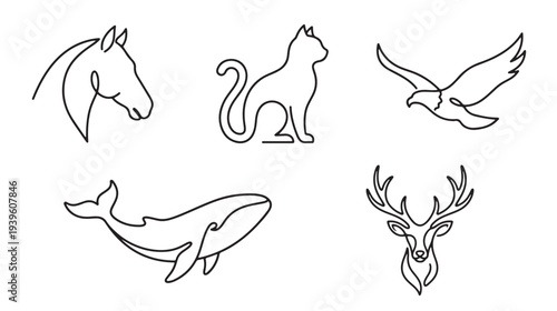 Minimalist Single Line Art Illustrations of Various Animals Including Horse, Cat, Eagle, Whale, and Deer
