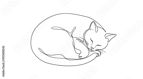 A serene minimalist continuous line art illustration depicting a peacefully sleeping domestic cat curled up in a tranquil, calm pose
