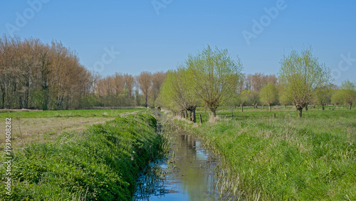 Φωτογραφία Creek in the wetlands of Parkbos nature reserve, on a sunny spring day with clear blue sky