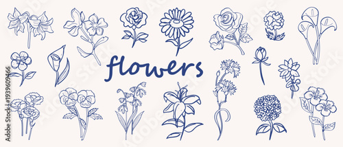 Hand drawn vector set of various flowers . Sketch flower stock . Vintage flower set . Lined flower set . Vector illustration.