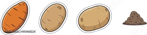 Potato vegetable vector set with sweet potato, brown potato and soil pile isolated showing organic farm food ingredient illustration