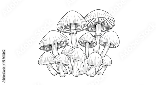 Detailed black and white line art illustration of a cluster of various wild mushrooms with different cap shapes and textured stalks for coloring.