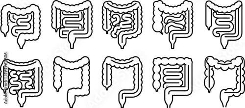 Human intestines outline icon set showing digestive system anatomy, large intestine and colon medical symbols collection for healthcare, biology, and anatomy education design