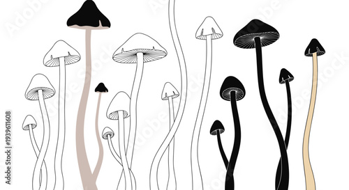 Stylized cluster of tall thin mushrooms with varied cap colors like black, white, and tan shown in a minimalist graphic.