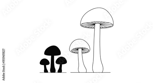 Comparison between a group of small mushrooms as a solid black silhouette and two taller mushrooms as thin outlines.
