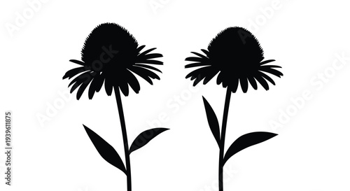 Solid black silhouette of two echinacea flowers with long stems and several leaves on a plain white background.