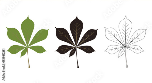 Set of three horse chestnut leaves shown in solid green, solid black, and black line art styles on white background.
