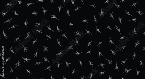 Delicate pattern of white pine needle clusters or abstract branch elements scattered on a solid black background.