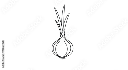 Simple and clean black and white line art illustration of a fresh green onion with its roots and long leaves.