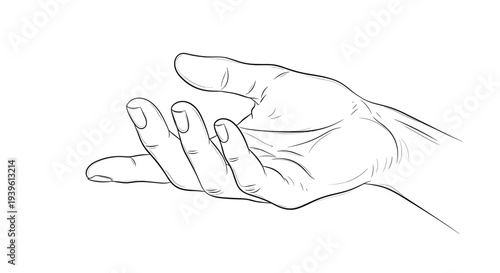 Realistic black and white line drawing of a human hand held open in a relaxed and welcoming gesture on white.