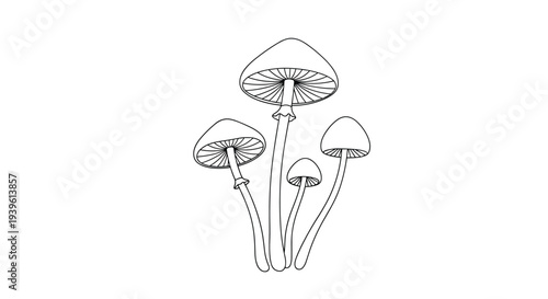 Elegant outline drawing of a cluster of delicate thin stemmed mushrooms with wide caps growing together on a plain background.