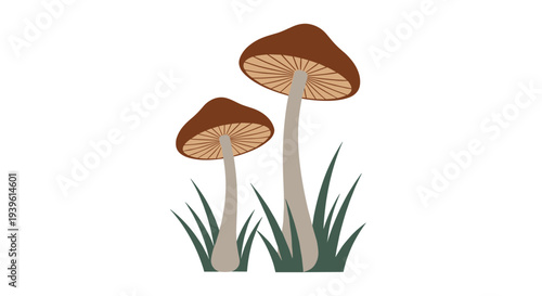 Illustration of two brown mushrooms with thin beige stems growing amongst blades of dark green grass on a white background.