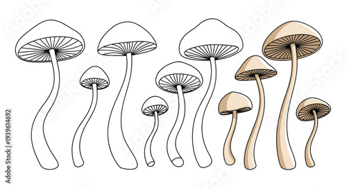 Row of ten thin stemmed mushrooms transitioning from simple black outlines to beige and brown shaded versions for design.
