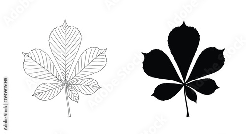 Side-by-side comparison of a horse chestnut leaf shown in a detailed line drawing and a solid black silhouette on a white background.