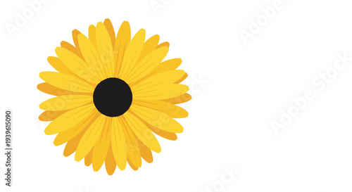 Top view of a bright yellow gerbera daisy or sunflower with a dark center, isolated on a clean white background for design use.