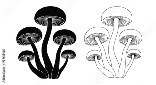 Comparison of wild mushrooms shown in both solid black silhouette and detailed outline styles for nature and botanical projects.