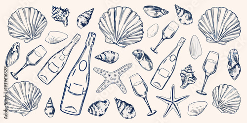 Vintage style illustration of seashells starfish and champagne bottles