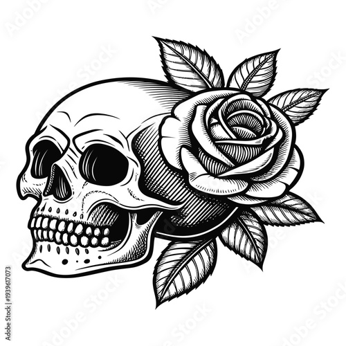 Skull with rose and leaves tattoo design  black and white illustration  human skull with flower  symbolic artwork