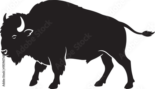 Black silhouette of a standing bison with curved horns and raised tail also transparent background shadow