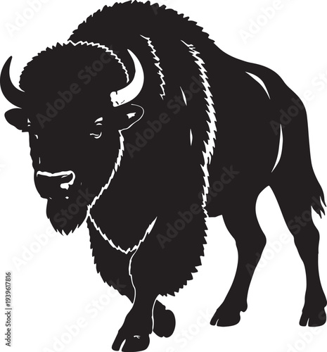 Silhouette of a black bison with large horns and furry coat standing also transparent background animal