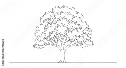 Elegant Line Drawing of a Large Tree with Full Canopy.