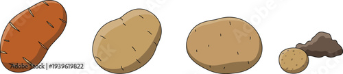 Potato vegetable vector illustration set with whole potatoes, sliced potato and soil isolated showing organic farm food ingredient icons