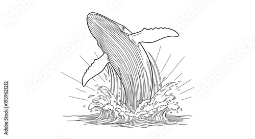 vector illustration of a fish