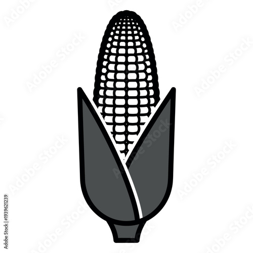 Black and white corn flat agriculture food