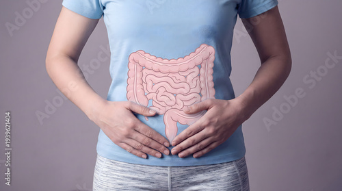 Wallpaper Mural Woman's torso with illustration of digestive system, stomach and intestines Torontodigital.ca