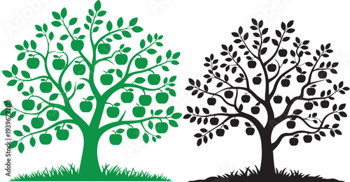 Apple tree vector set with lush green illustration and black silhouette on white background.