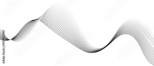 Stylish Abstract Gray Wave Lines Vector Illustration Design Smooth Curved Line Pattern on White Background