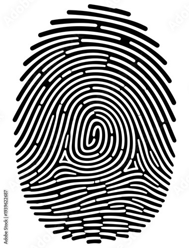 High resolution black and white fingerprint illustration on a clean white background for identification purposes