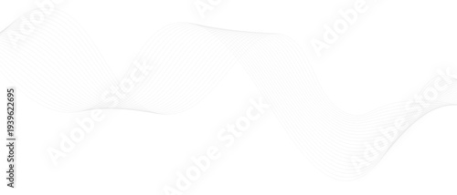 Stylish Abstract Gray Wave Lines Vector Illustration Design Smooth Curved Line Pattern on White Background