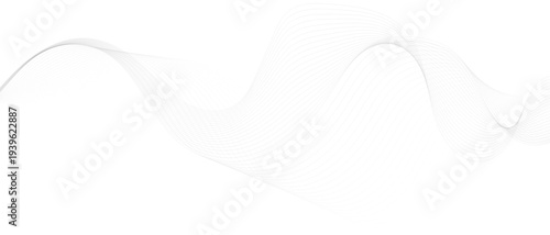 Stylish Abstract Gray Wave Lines Vector Illustration Design Smooth Curved Line Pattern on White Background