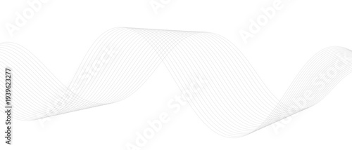 Stylish Abstract Gray Wave Lines Vector Illustration Design Smooth Curved Line Pattern on White Background