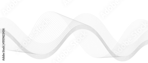 Stylish Abstract Gray Wave Lines Vector Illustration Design Smooth Curved Line Pattern on White Background