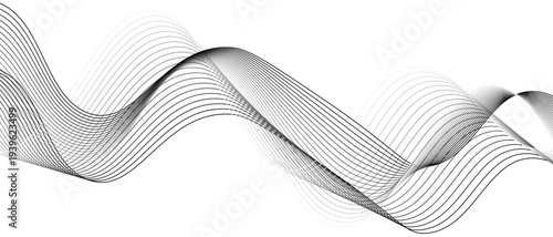 Stylish Abstract Gray Wave Lines Vector Illustration Design Smooth Curved Line Pattern on White Background