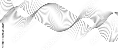 Stylish Abstract Gray Wave Lines Vector Illustration Design Smooth Curved Line Pattern on White Background