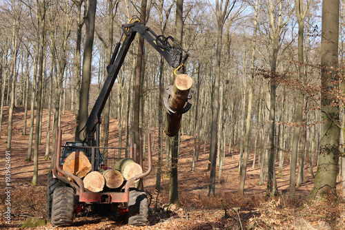 Holzrückung mit Holzrückeanhänger und Kran